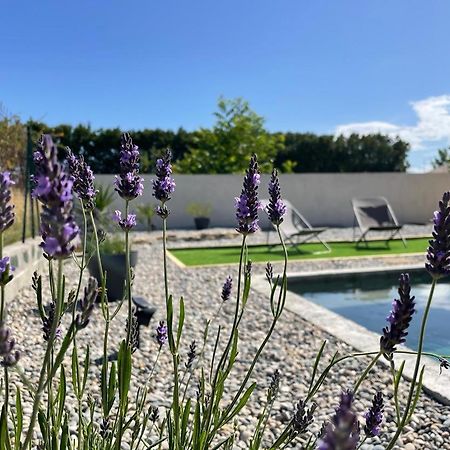 Toupie Et Bicyclette Villa Charmes-sur-Rhone Екстериор снимка