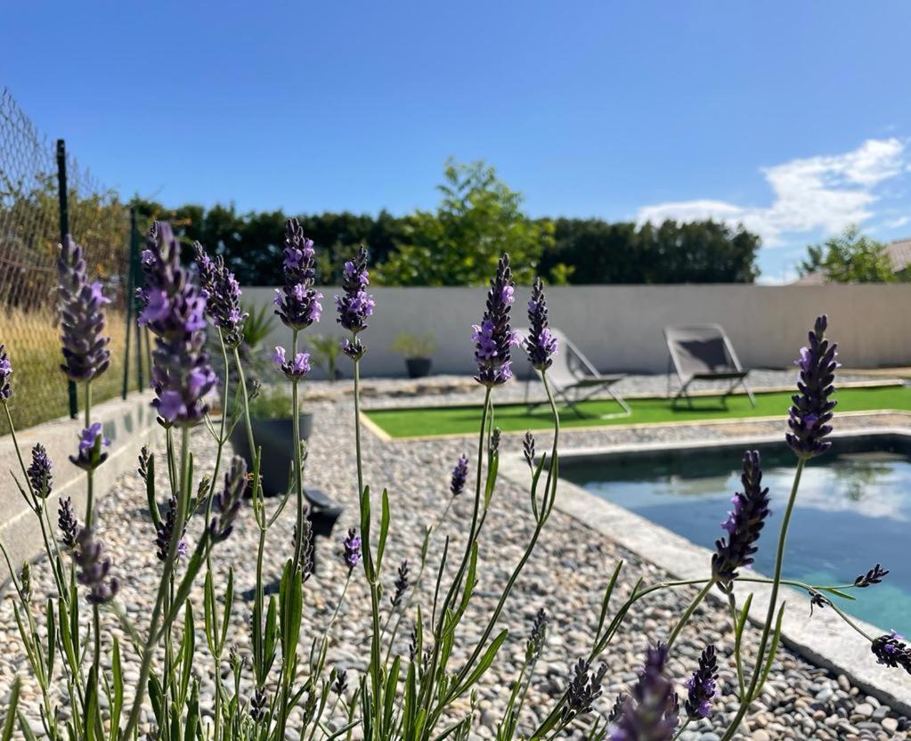 Toupie Et Bicyclette Villa Charmes-sur-Rhone Екстериор снимка